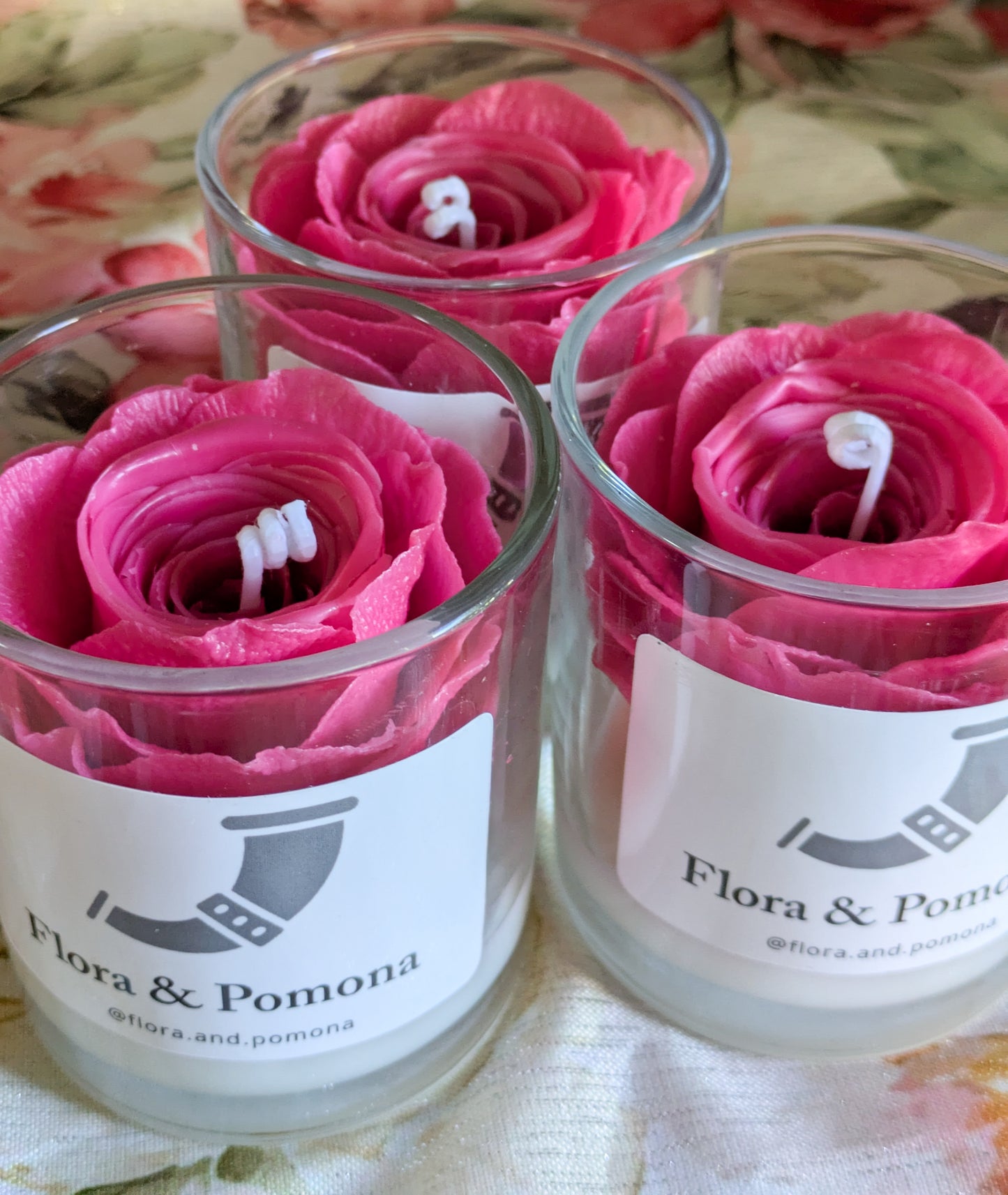 Fuchsia rose