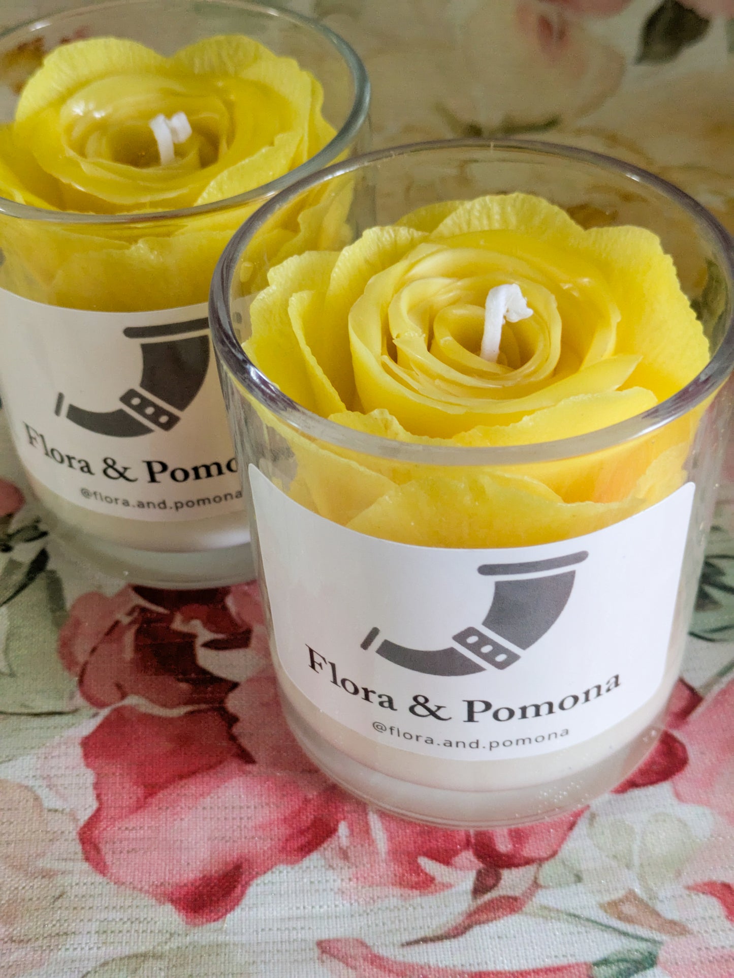 Yellow rose