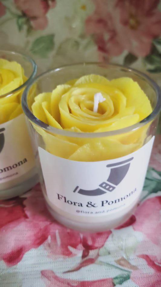 Yellow rose