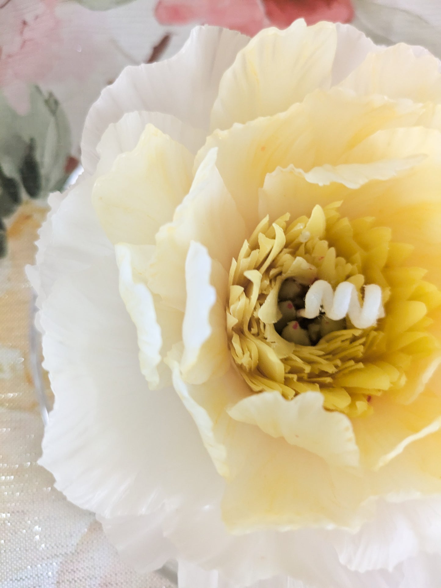 Garden Peony