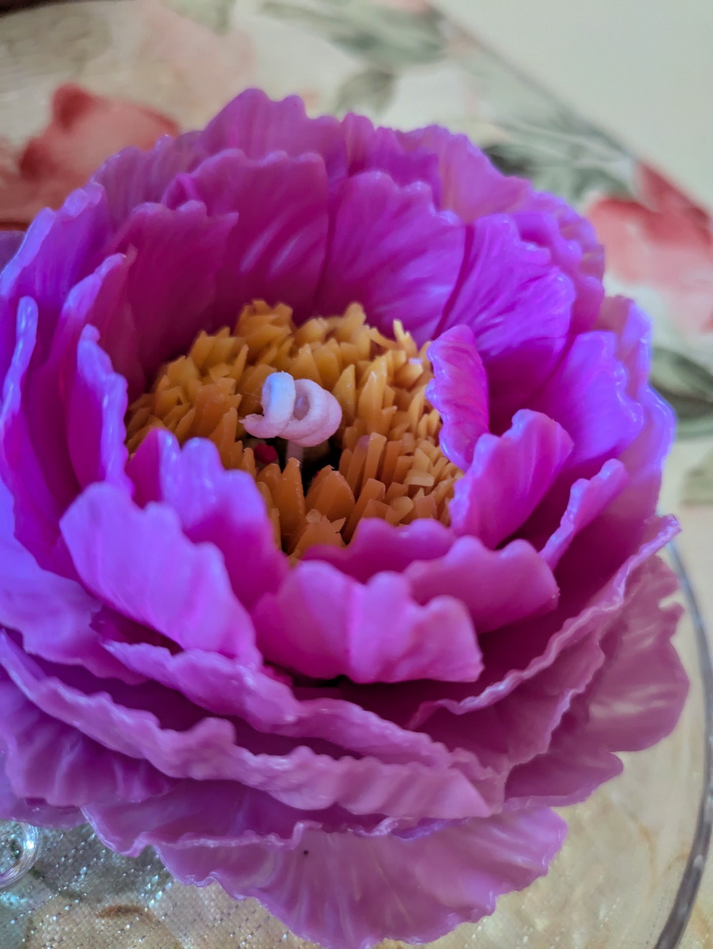 Garden Peony