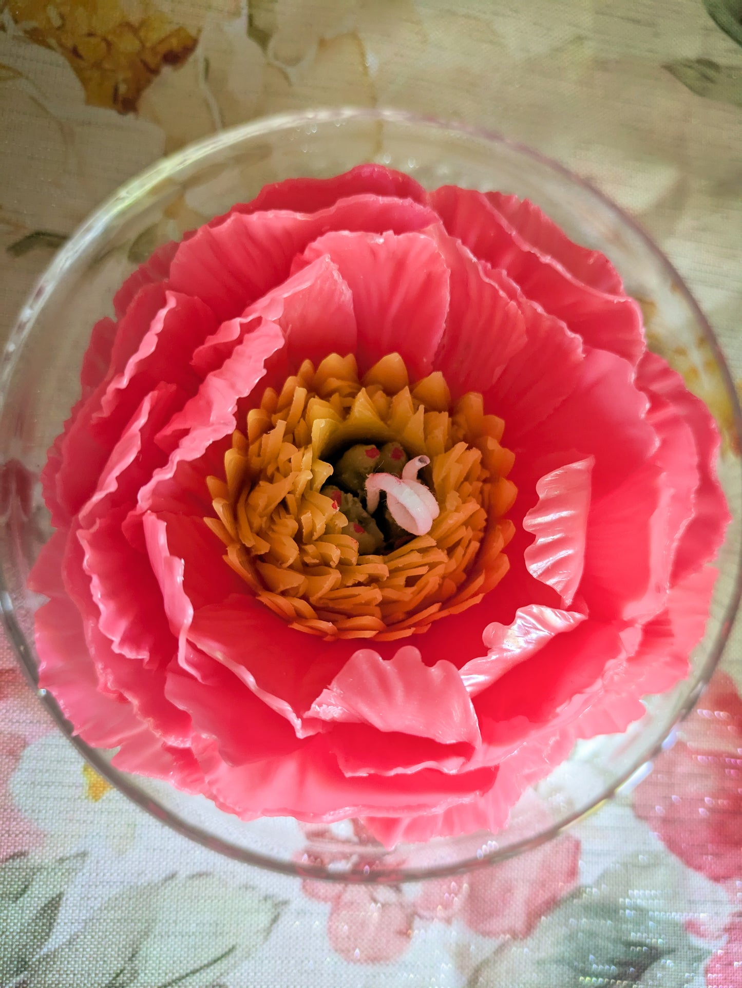 Garden Peony