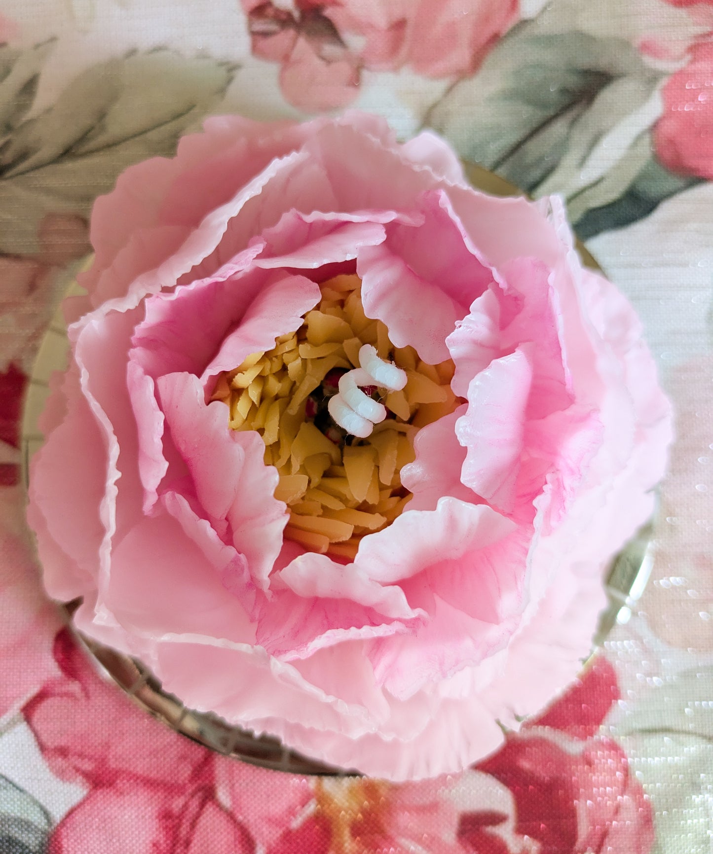 Garden Peony