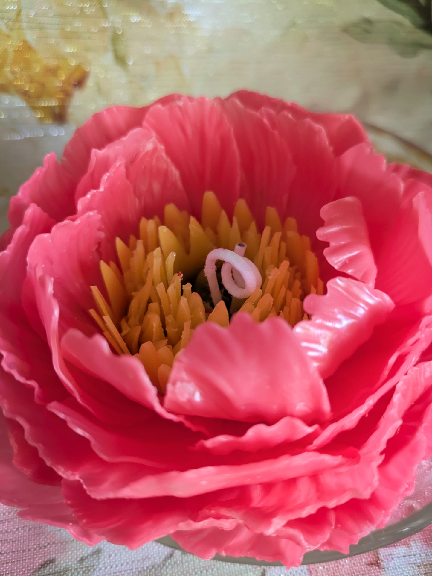 Garden Peony