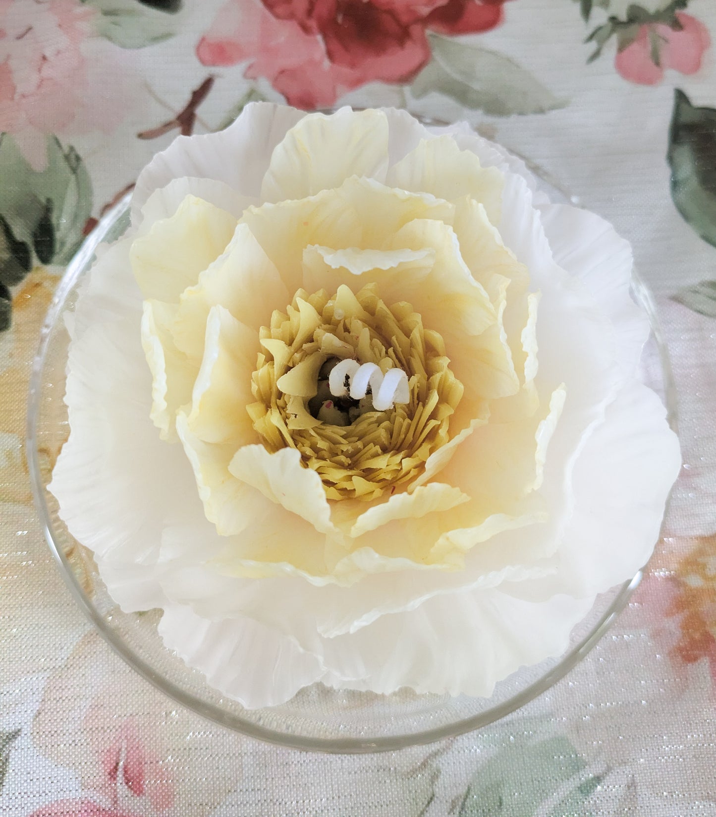 Garden Peony