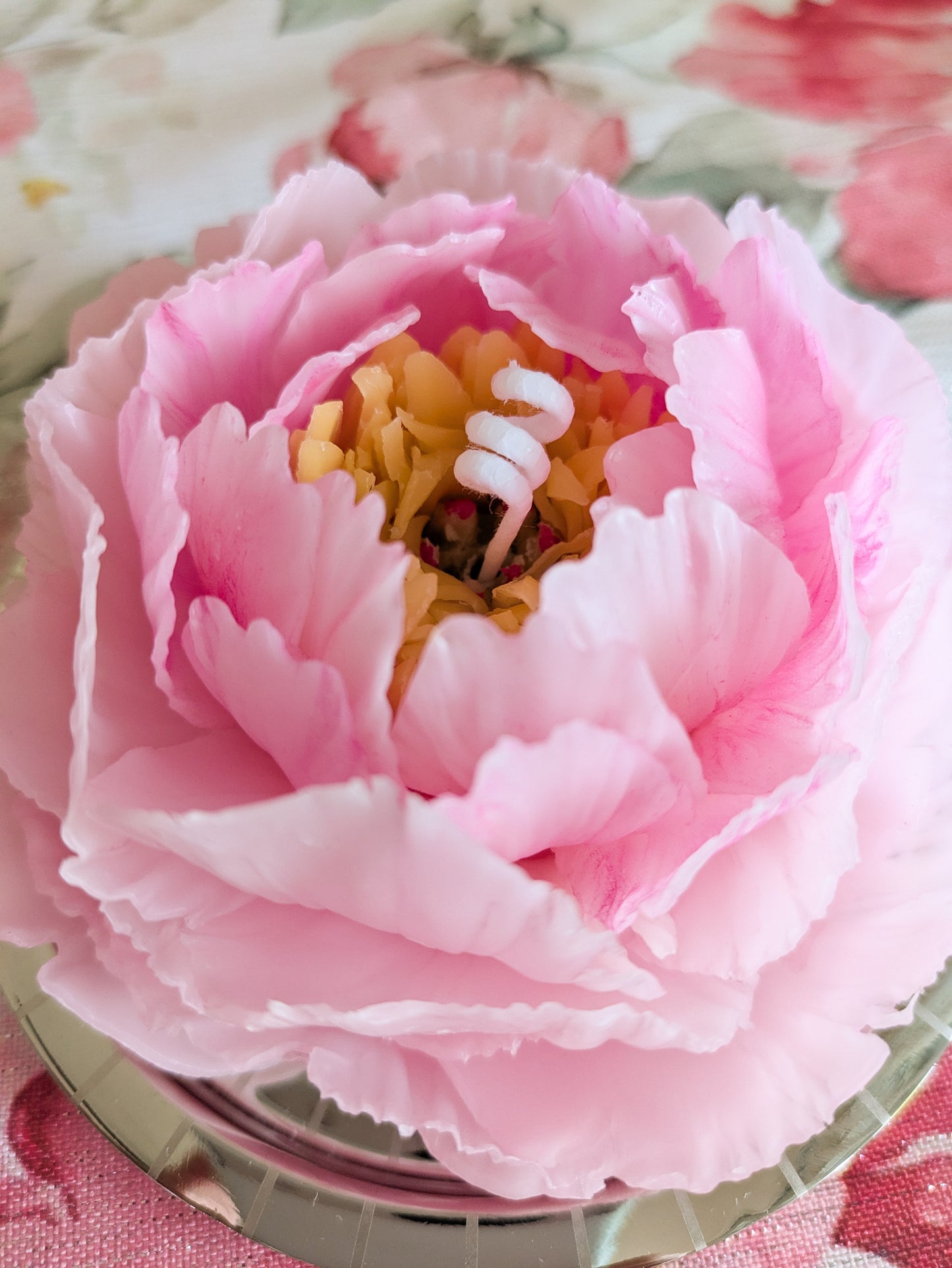 Garden Peony